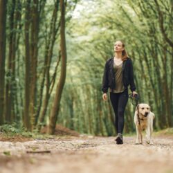 Vrouw loopt met haar hond in het bos en krijgt vitamine D terwijl ze aan een psychosomatische fysiotherapie oefening werkt