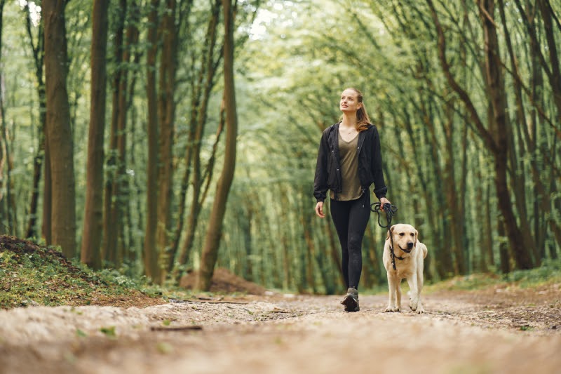 Wat doet vitamine D tekort met uw lichaam?